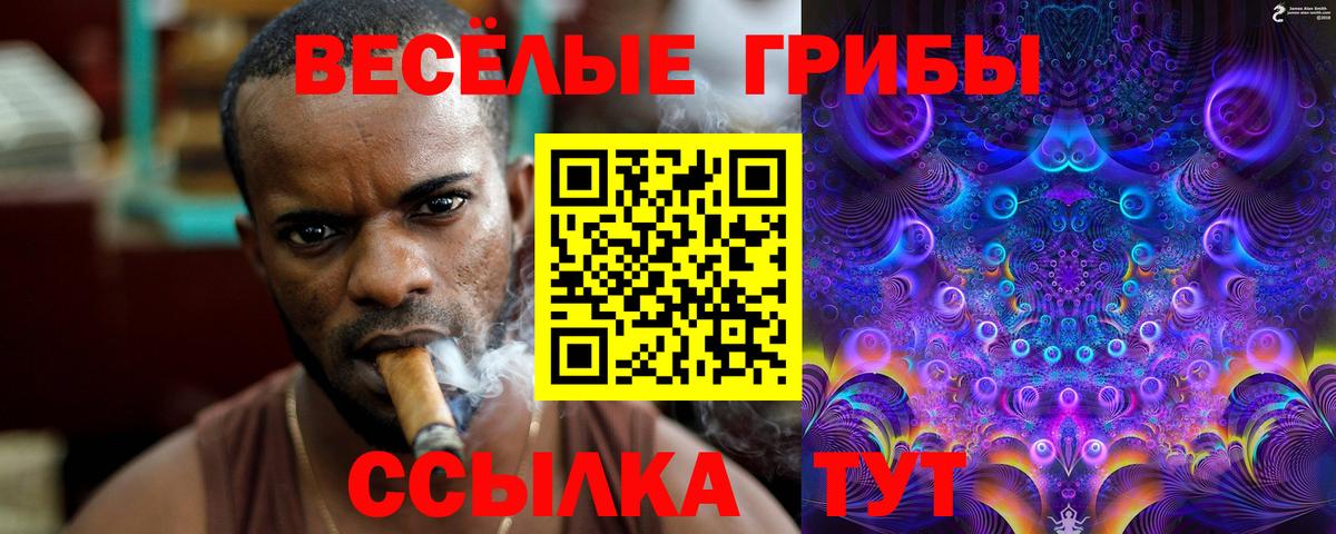Галлюциногенные грибы MAGIC MUSHROOMS  Вход с VPN  Мурино  Псилоцибиновые грибы GOLDEN TEACHER 