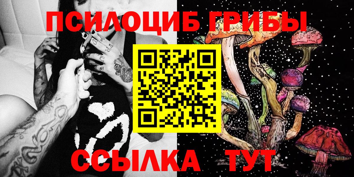 Псилоцибиновые грибы Psilocybine cubensis Мурино